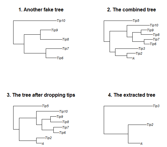 fig2